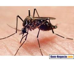 Dedetizadora de Mosquitos Nacional