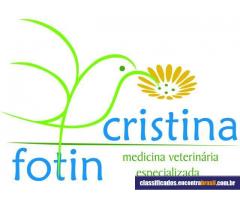 Cristina Fotin